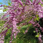 Bed & Breakfast Bastide Armande 3*