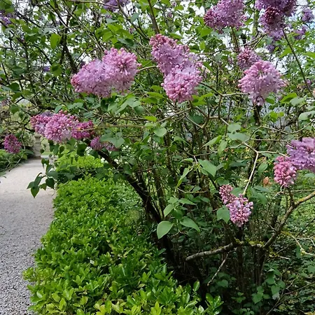 Bastide Armande Bed & Breakfast Denat