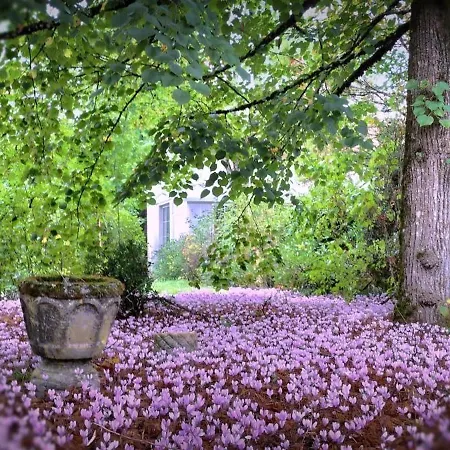 Bed & Breakfast Bastide Armande 3*