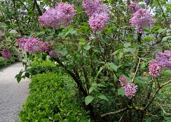 Bastide Armande לינה וארוחת בוקר Dénat