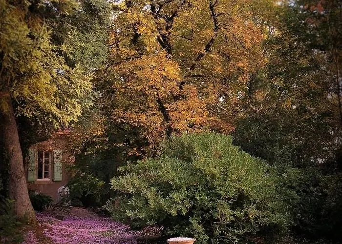 Bastide Armande Bed & Breakfast